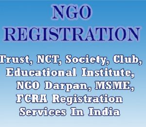 ngo darpan registration services