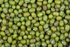 Whole Green Mung Beans