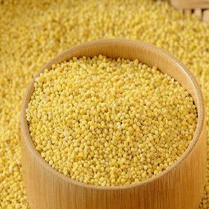 Best Grade Yellow Millet