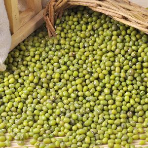 Green mung beans seeds