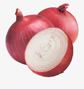Healthy fresh onions