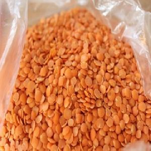 High Quality Lentils