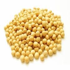high quality soybean seeds