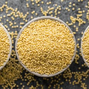 Hot Sale yellow millet