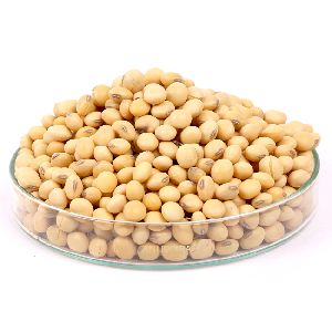 Premium Quality Soybean seeds