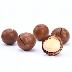 Roasted/dried macadamia Nuts hot sale cheap price