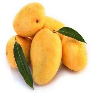 Badami Mango