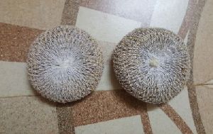 Vetiver Scrubber With Mesh
