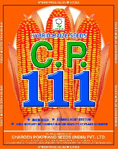 C.P. 111 Hybrid Maize Seeds