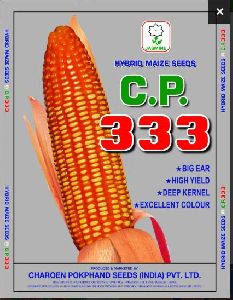 C.P. 333 Hybrid Maize Seeds