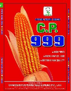 C.P. 999 Hybrid Maize Seeds