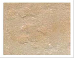 Camel Buff Brown Sand Stone