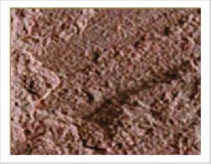 Dholpur Pink Sand stone