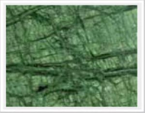 Green Polished Marble Slab