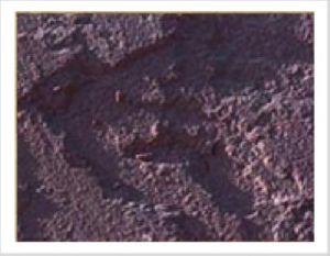 Mandana Red Sand Stone