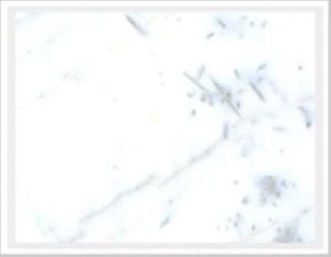 Pista White Marble Slab