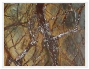 Rainforest Gold Marble Slab