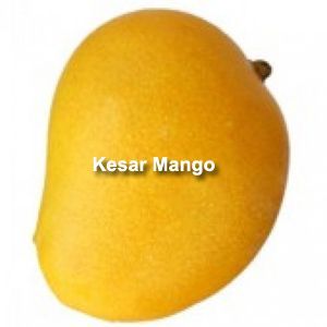 Fresh Kesar Mango