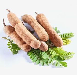 Fresh Tamarind