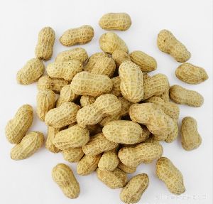 Shelled Peanuts