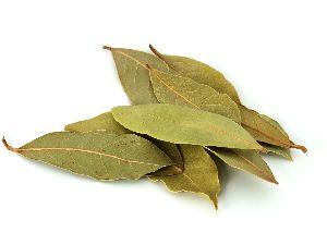 Dried Bay Leaves