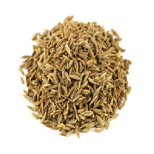 cumin seed