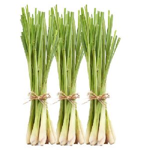 Fresh Lemongrass