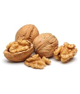 Soft Shelled Walnuts