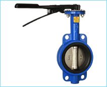 Butterfly Valve