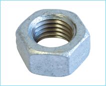 Hex Head Nut