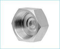 Stainless Steel Nut Cap