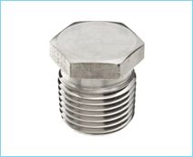 Stainless Steel Hex Plug