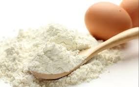 egg shells powder