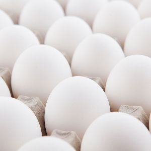 White Eggs