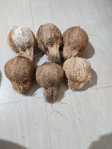 Coconut Without Husk