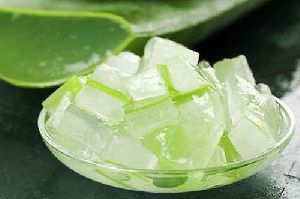 Fresh Aloe Vera Pulp