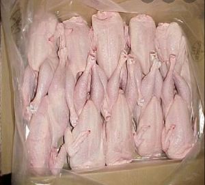 USDA approved whole chicken for sale