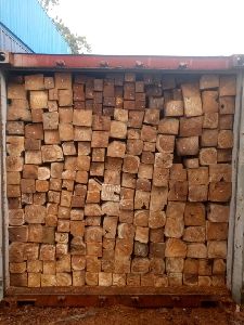 sudan teak wood