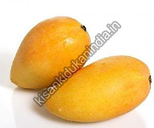 Fresh Mango