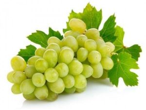 Organic Fresh Green Grapes, Packaging Type : Net Bag