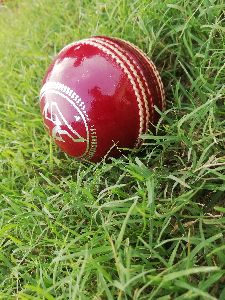 S.A cricket leather ball