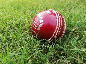 Sizzling leather cricket ball