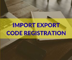 Import &amp;amp; Export Code (IEC)