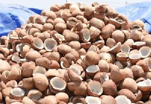 Edible Coconut Copra