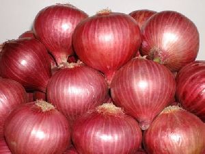 red onion