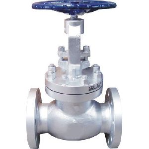 SS/WCB Globe Valve