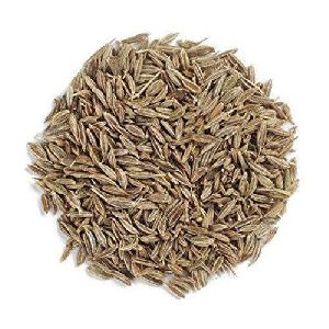 Organic Cumin Seeds, Color : Black