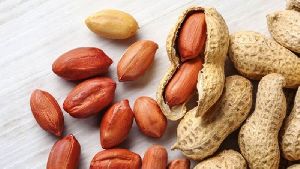 Shelled Groundnut