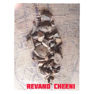 Revand Chini