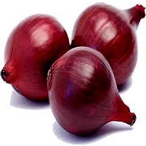Agrifound Dark Red Onion